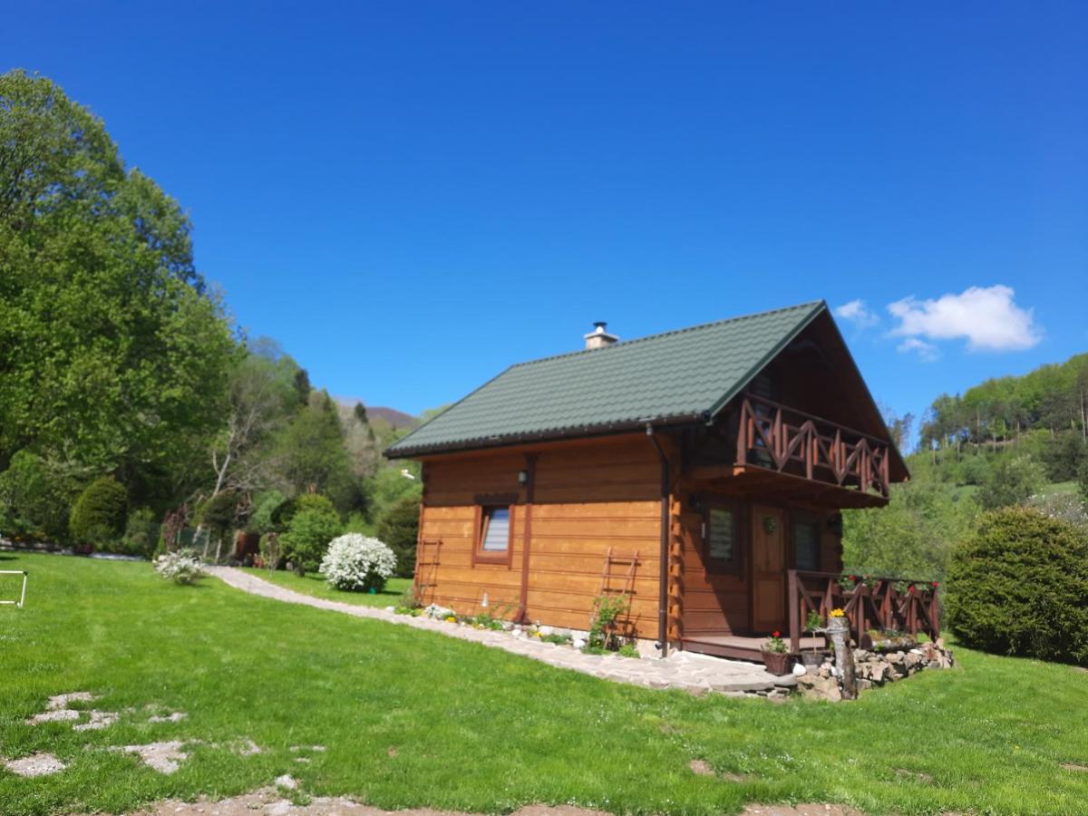 Pod Lipa. Holiday home Liszna